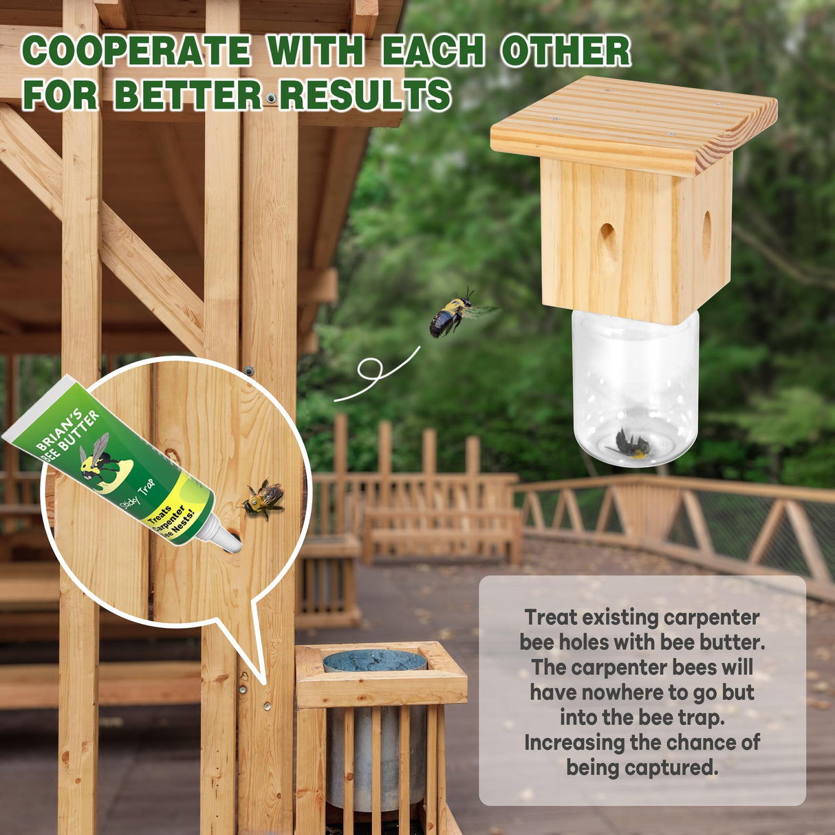 2 PCS Wood Carpenter Bee Trap for Outside - Best Bee Trap - Nature Hanging Carpenter Bee Traps Plastic Jar Outdoor - Insect Traps Best Bee Trap