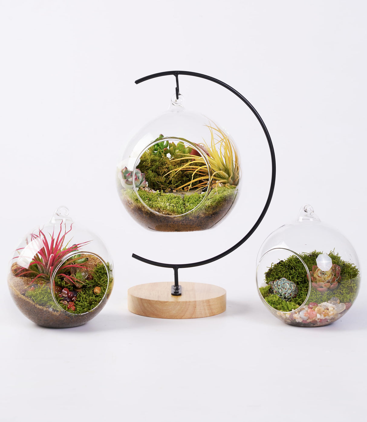 15-Piece Terrarium Kit with Live Moss – DIY Glass Globe Set with Tools, Soil, Stones & Spray Bottle – Indoor Mini Garden Gift for Plant Lovers, Home Decor & Zen Craft LUCKYRUNES