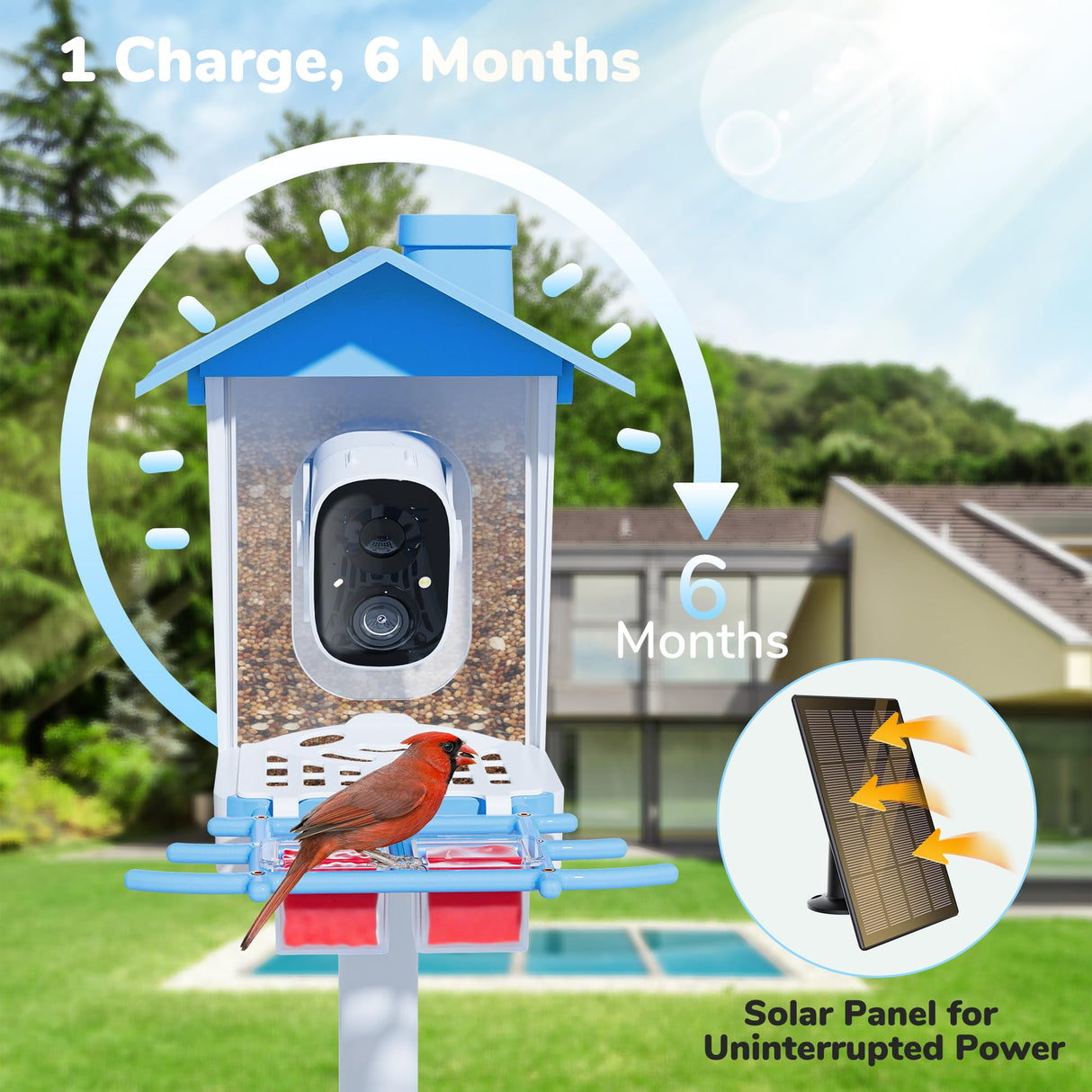 Twesync Bird Feeder with Camera, 2K HD Bird Video Capture, 5000mAh Battery with Solar Panel, Instant Arrival Alerts, Live View, AI Bird Species Identification, Perfect for Bird Lovers Twesync