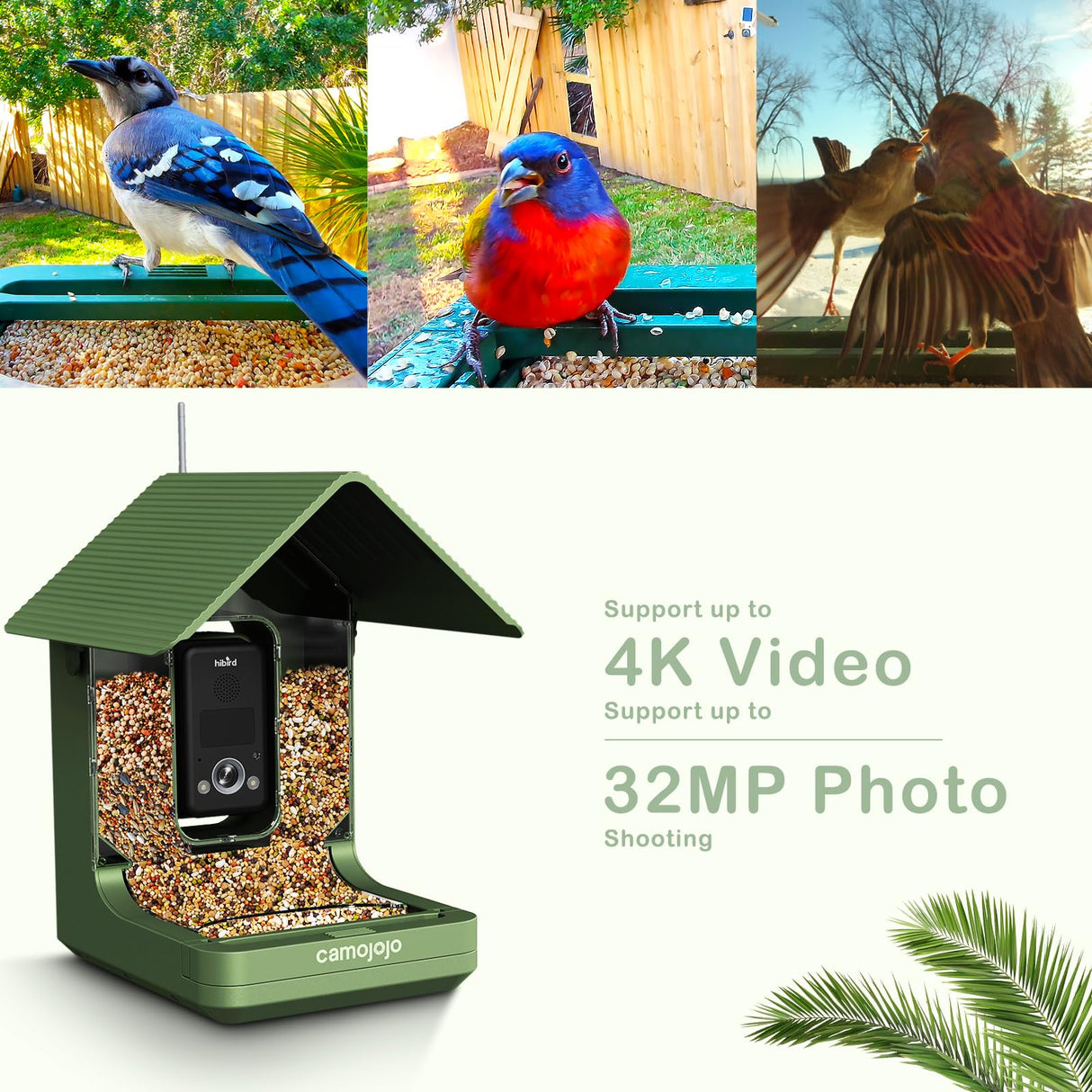 Camojojo Bird Feeder with Camera of 32MP Photo & 4K Video, Smart Bird Feeder with AI Identify, 10000mAh Built-in Battery, Full-Color Night View, 32 SD, IP66, 2.4G/5G Dual WiFi Wireless, Live Function Camojojo