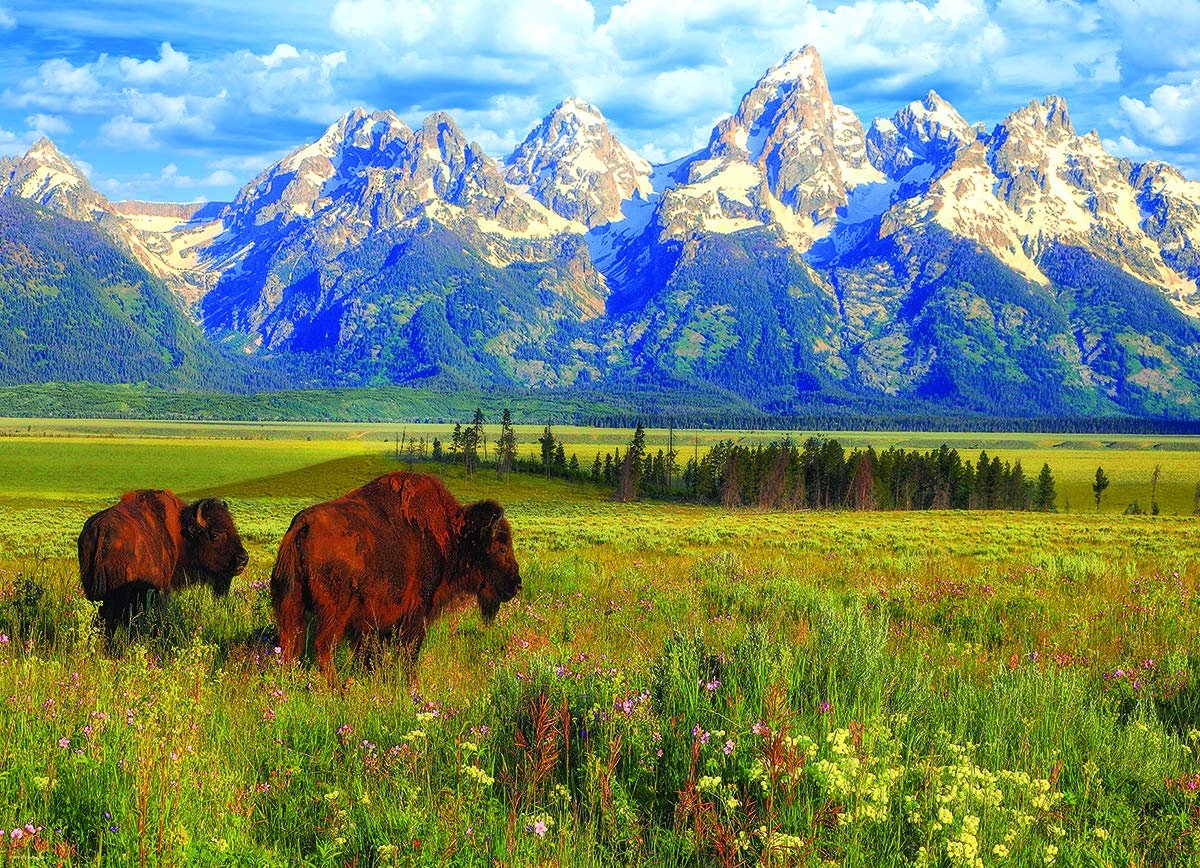 EuroGraphics Grand Teton National Park Photography by Steve Hinch 1000-Piece Puzzle EuroGraphics