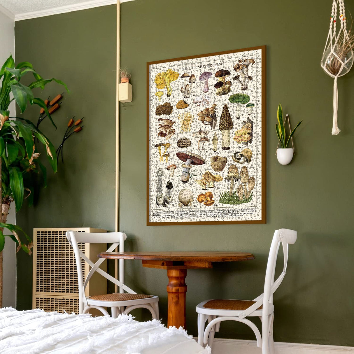 Vintage Mushroom Puzzle 1000 Pieces for Adult, Vintage Fungi Jigsaw Puzzle of 25 Edible Mushrooms, Champignons Plant Puzzle for Mycophile BBOLDIN