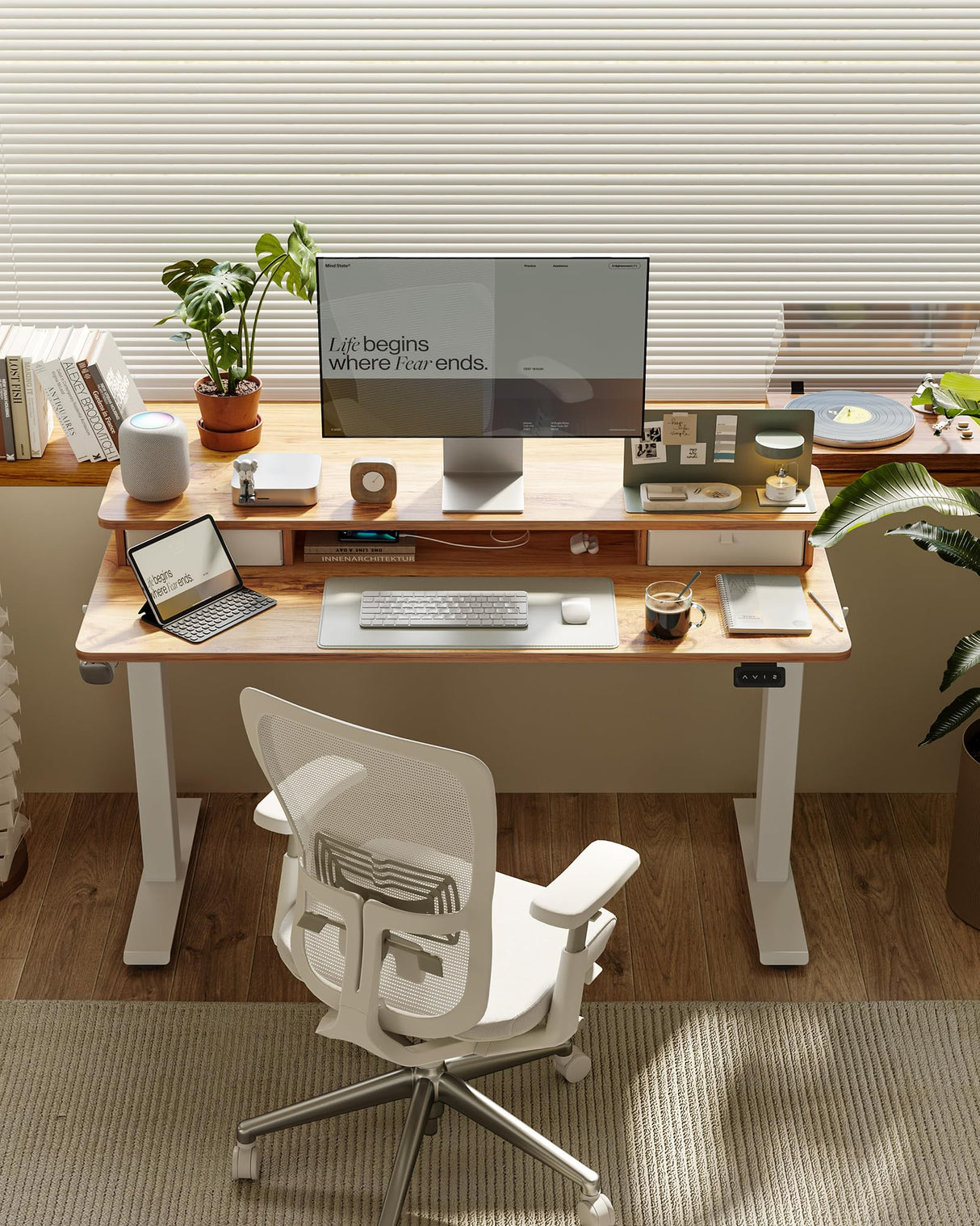 FEZIBO 55 x 24 Inch Height Adjustable Electric Standing Desk with Double Drawer, Stand Up Desk with Storage Shelf, Light Rustic FEZIBO