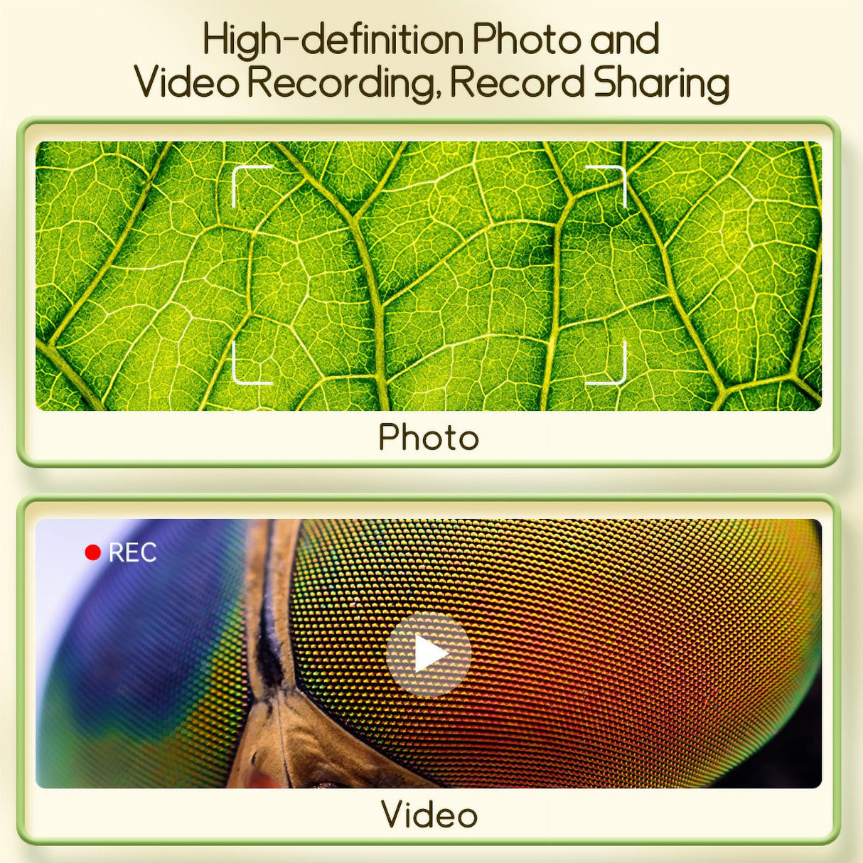 WINWEND Kids Microscope Pocket Microscope -1000X Portable Microscope for Kid | Photo and Video Mini Microscopes | 2'' Digital Little Scientist Microscopes for 3-10 Age Years Old Boys Girls Toys Gifts WINWEND