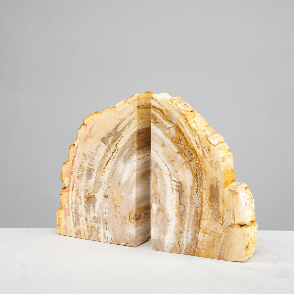 KALIFANO Petrified Wood Bookends Set - Real Natural Fossilized Wood Book End - Unique Stone & Crystal Home Decor (Family Owned & Operated) KALIFANO