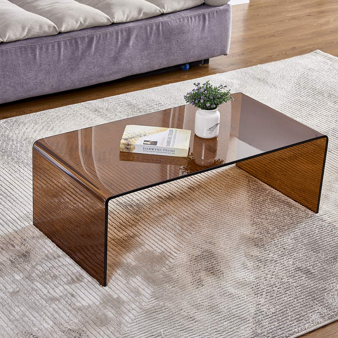 Premium Tempered Glass Coffee Table,Clear Coffee Table, Small Modern Coffee Table for Living Room,Match Well with Rug (Brown, 39.4"x19.7"x13.8") FENGHUA GLASS HOME