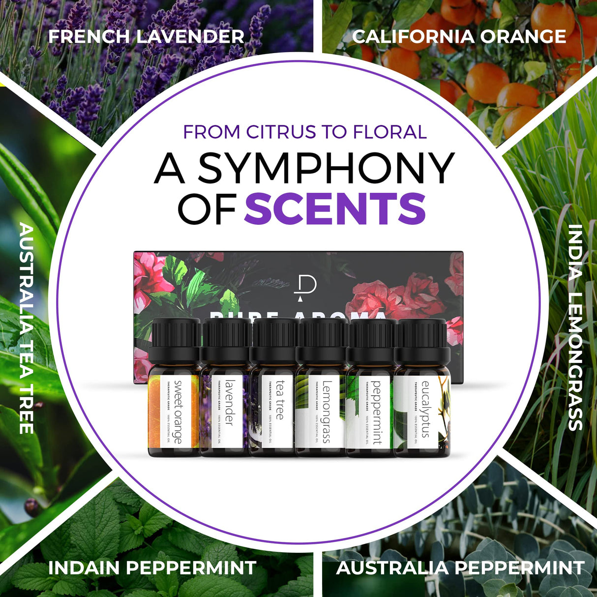 Essential Oils Set by Pure Aroma - Top 6 Aromatherapy Oils Gift Set-6 Pack, 10ml (Eucalyptus, Lavender, Lemongrass, Sweet Orange, Peppermint, Tea Tree) Pure Aroma