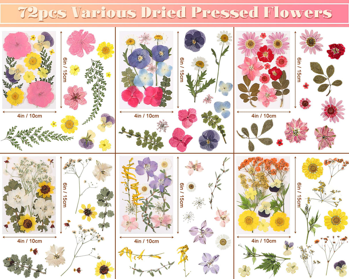 eBoot 72 Pcs Dried Pressed Flowers for Resin Molds Real Pressed Flowers Dry Leaves Bulk Natural Herbs Kit for Scrapbooking DIY Art Crafts Jewelry Molds Candle Soap Making Nails Decor(Fresh Style) EBOOT
