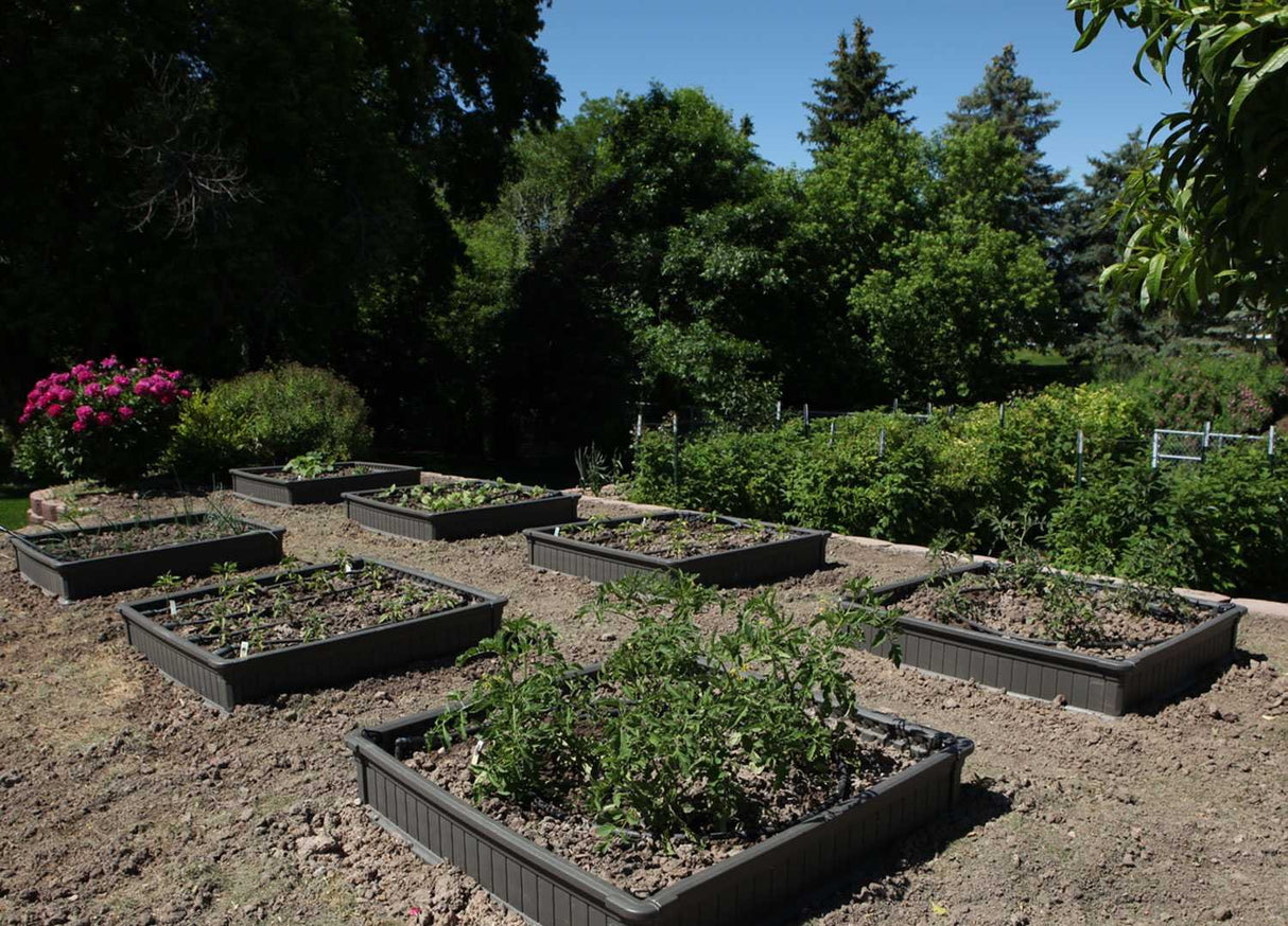 Lifetime 60065 Raised Garden Bed, 4 by 4 Feet, 1 Bed Lifetime