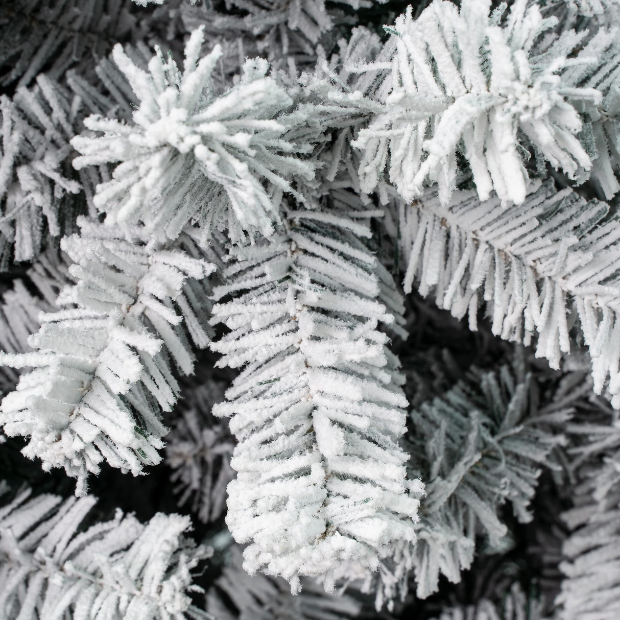National Tree Company First Traditions Acacia Flocked Tree Medium Christmas Tree, 6 ft National Tree Company