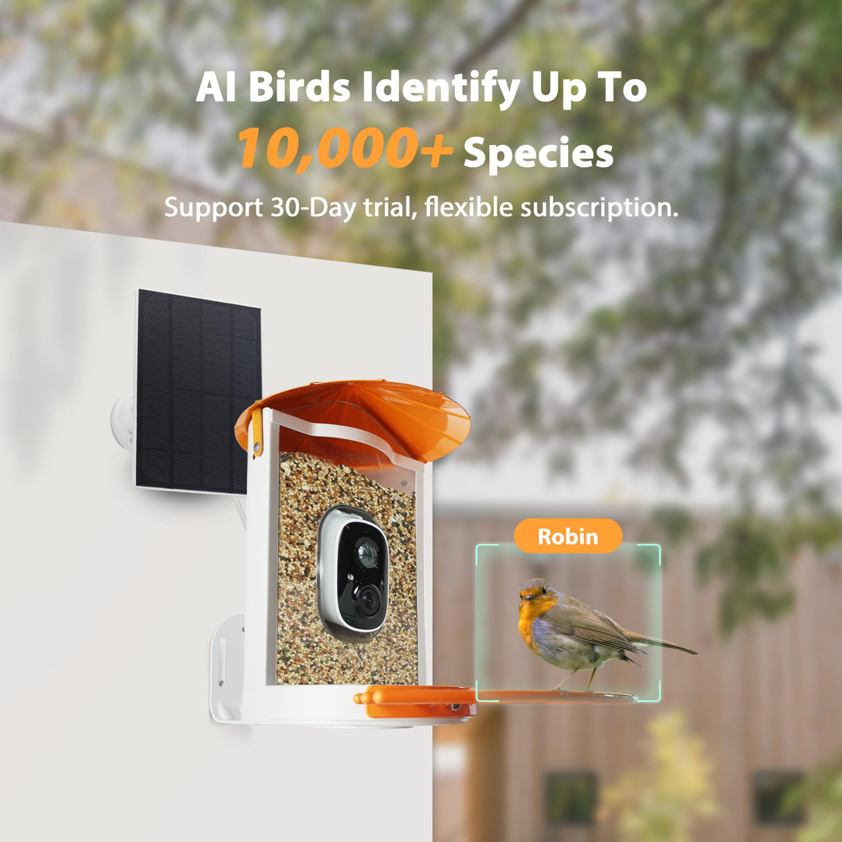 Birdkiss Smart Bird Feeder with Camera Solar Powered, 1080P HD Wild Bird Watching Cam Auto Capture Videos and AI Identify, Squirrel Proof Metal Bird Feeders, Ideal Gift for Bird Lovers (Orange) Birdkiss