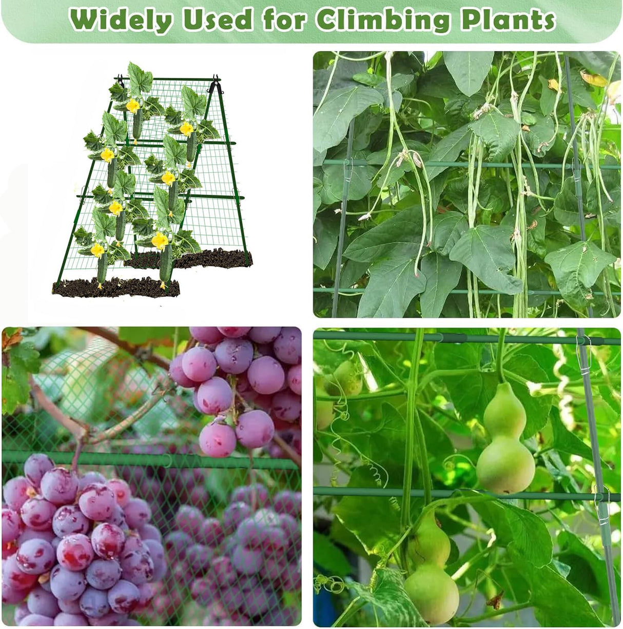 Cucumber Trellis Garden Trellis Arch Trellis, Tall Metal Trellis for Climbing Plants Support Vegetable Peas Fruit Vine Outdoor A-Frame Trellis (Green) 7Queen