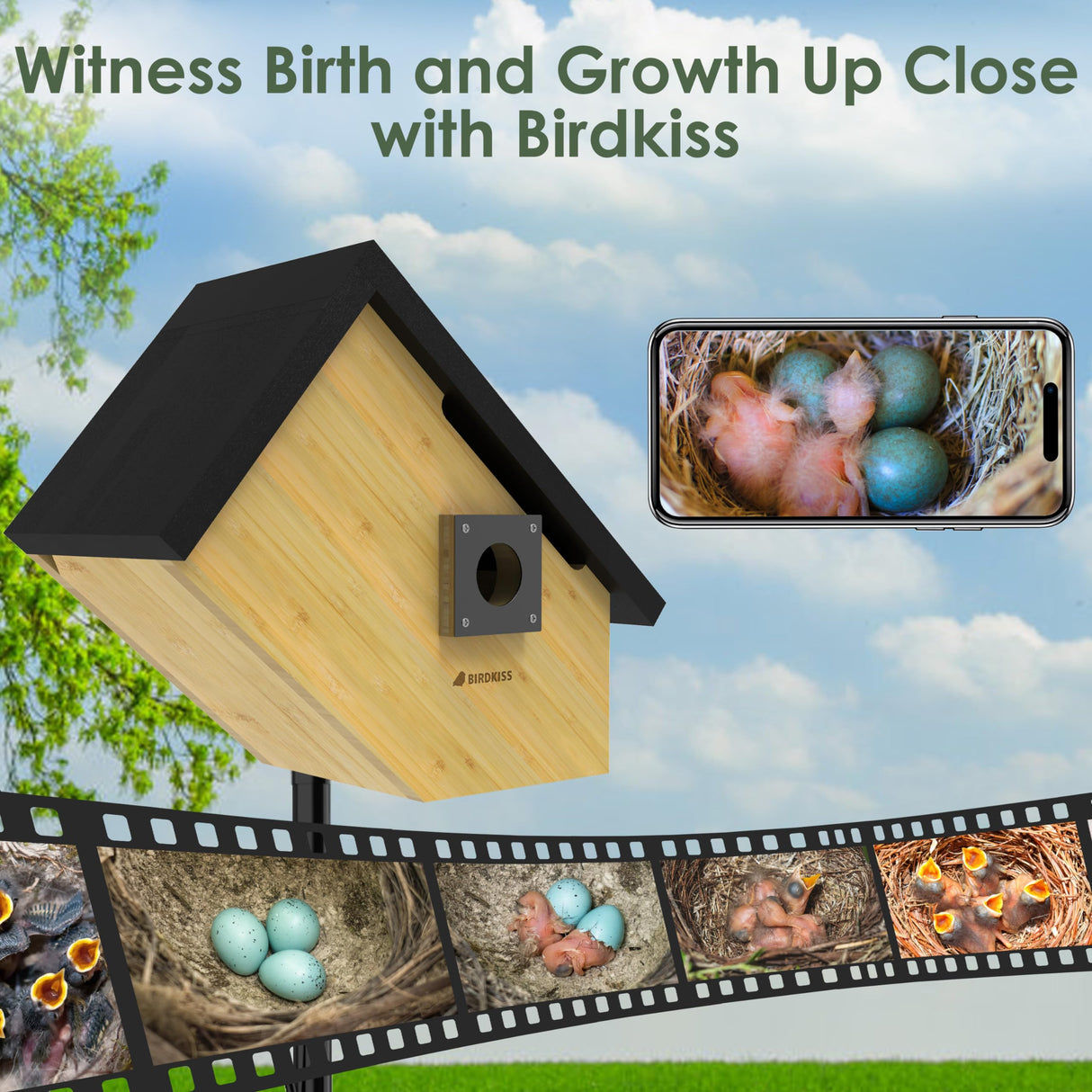 Birdkiss Smart Bird Houses for Outside Solar Powered, 1080P HD Live View Birdhouse with Camera, Perfect Viewing Bird Nesting and Hatching, Ideal Outdoors Bird House for Blue Bird and Cardinal (Black) Birdkiss