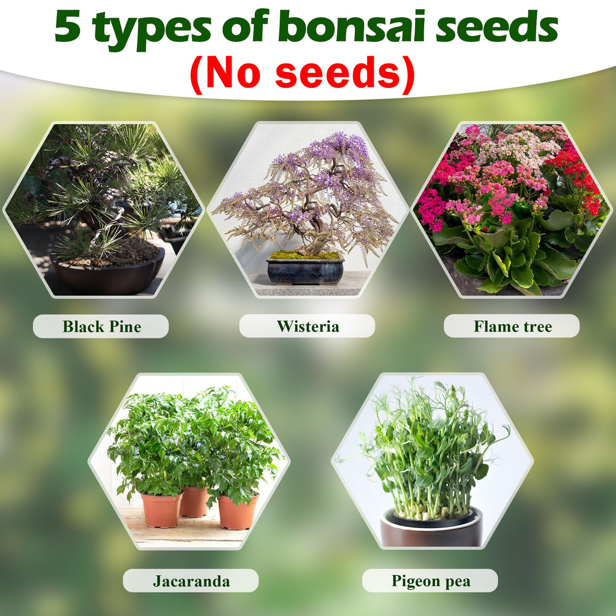 Bonsai Tree Kit, Wooden Bonsai Starter Kit, Coolrunner Bonsai Tree Starter Kit, Mini Bonsai Plant Growing Kit with Seeds Packets, Soil Discs, Jute Bags, Plant Markers, Gardening Tools etc (No Seeds) Coolrunner