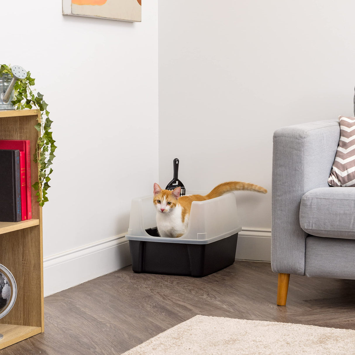 IRIS USA Large Cat Litter Box with Scatter Shield and Scoop, Open Top High Sided Cat Litter Pan, Black IRIS