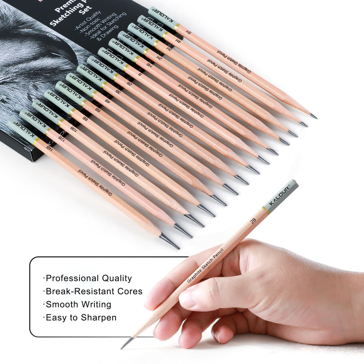 KALOUR 18-Piece Professional Sketch Pencil Set - Includes 5H to 14B Pencils, Vinyl Eraser, Kneaded Eraser,Sharpener and Paper Blending Stump - Ideal for Artists and Beginners KALOUR