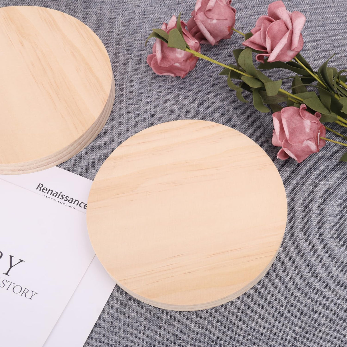 20 PCS 6 Inch Wooden Discs Circles, Unfinished Wood Coasters, Natural Wood Slices, Round Wooden Plaques for DIY Crafts, Home Decoration,Door Hangers, Wood Engraving, Wood Engraving, by GNIEMCKIN. GNIEMCKIN