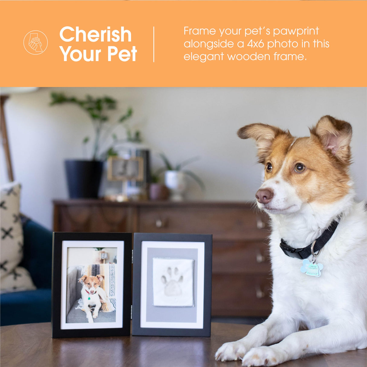 Pearhead Pet Paw Print Photo Frame With Clay Imprint Kit - Wooden Pet Paw Print Frame, DIY Memorial Keepsake for Cats and Dogs, No Mess Clay for Perfect Pawprints, Ideal Home Decor and Gift, Black Pearhead