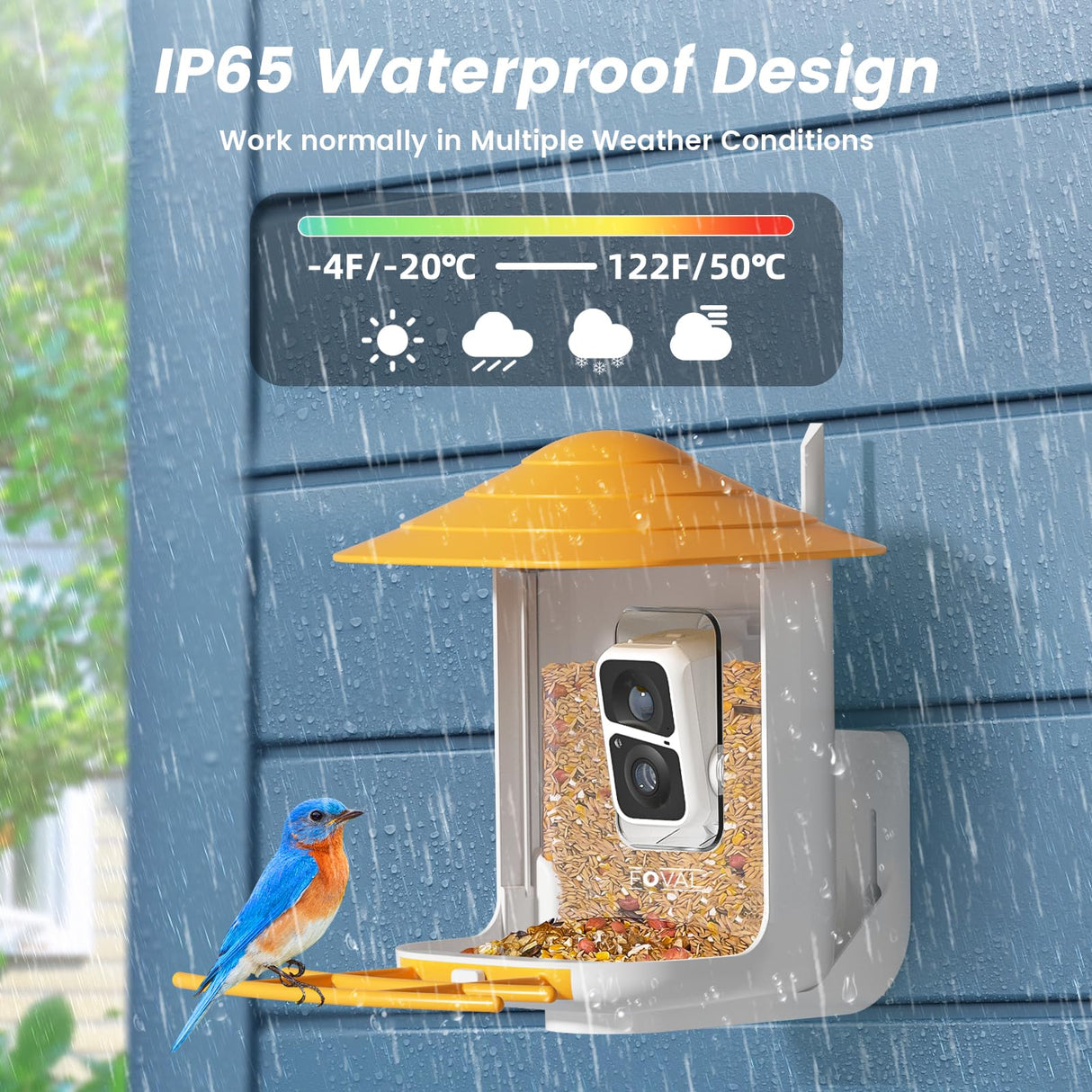 FOVAL Bird Feeder with Camera, Smart Bird Feeder Camera with AI Identify Bird Species, Auto Capture Bird Videos & AI Motion Detection, 5W Solar FOVAL