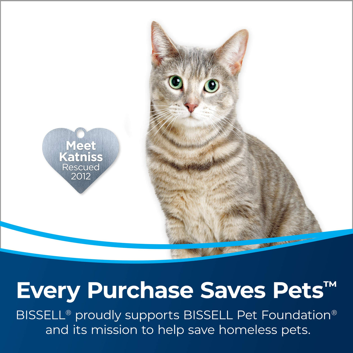 Bissell AeroSlim Lithium Ion Cordless Handheld Vacuum, 29869 Bissell