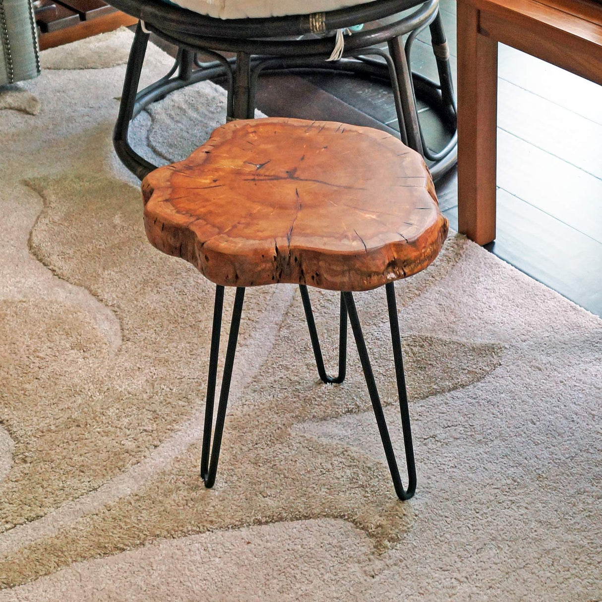 WELLAND Unique Shape Natural Wood Stump Rustic Surface End Table WELLAND