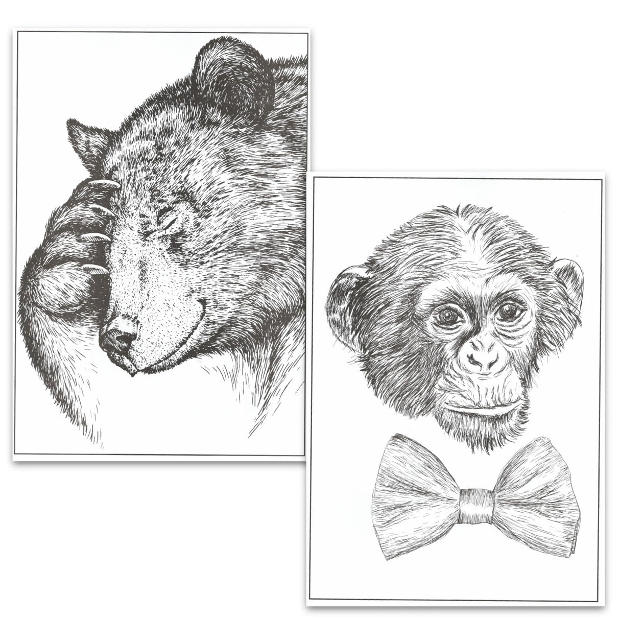 Animal Coloring Book Set - Pack of 3 Premium Adult Coloring Books Featuring Turtles, Pets, Wolves and More | Animals Collection for Adults Bendon