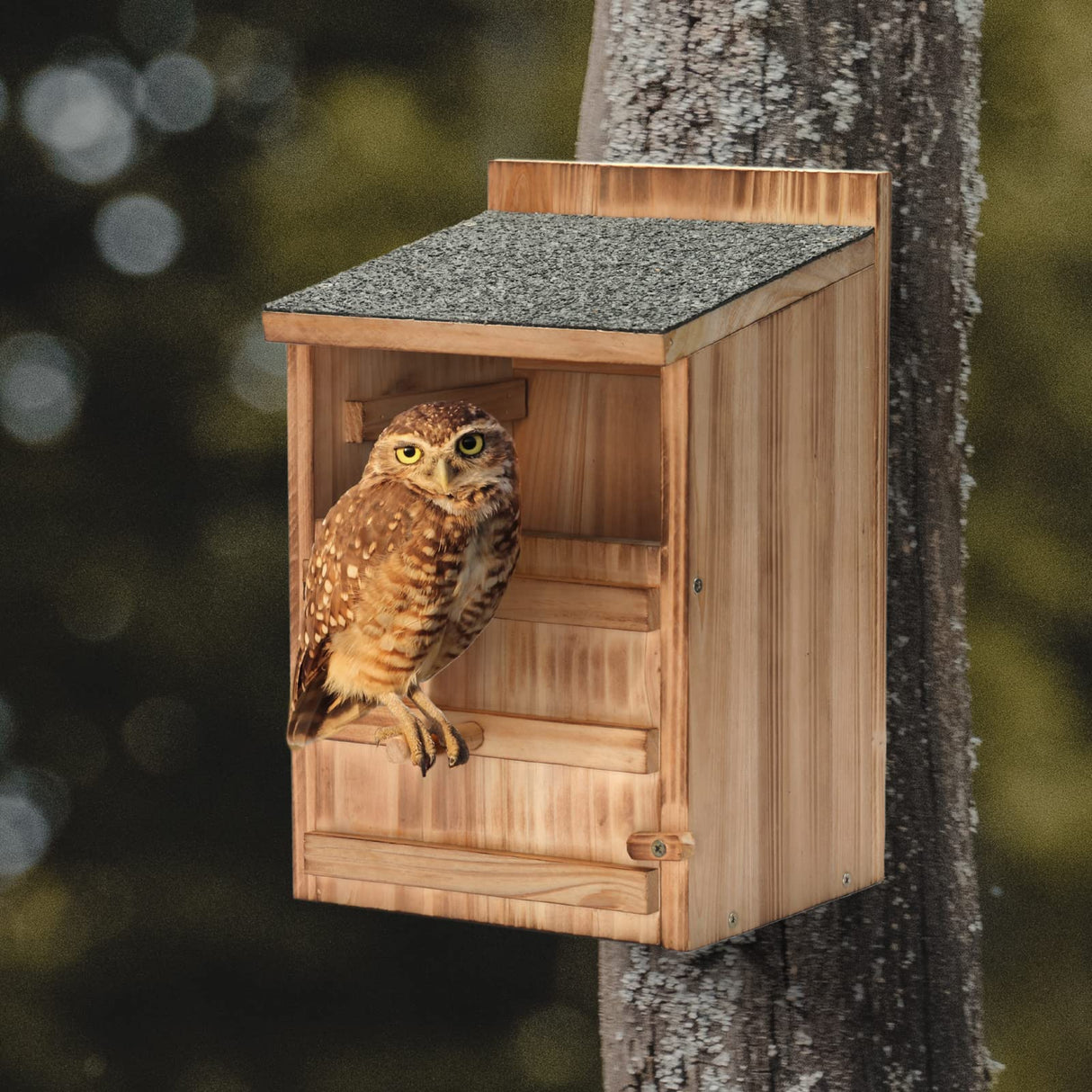 Owl House Wooden Building Kit for Adults Prebuilt Owl Box for Outside Premium Wooden Bird House Kit with Owl Box Cedar Shavings&Screws Included Owl Nesting Box,Barn Owl,Screech Owl Houses HHWODB