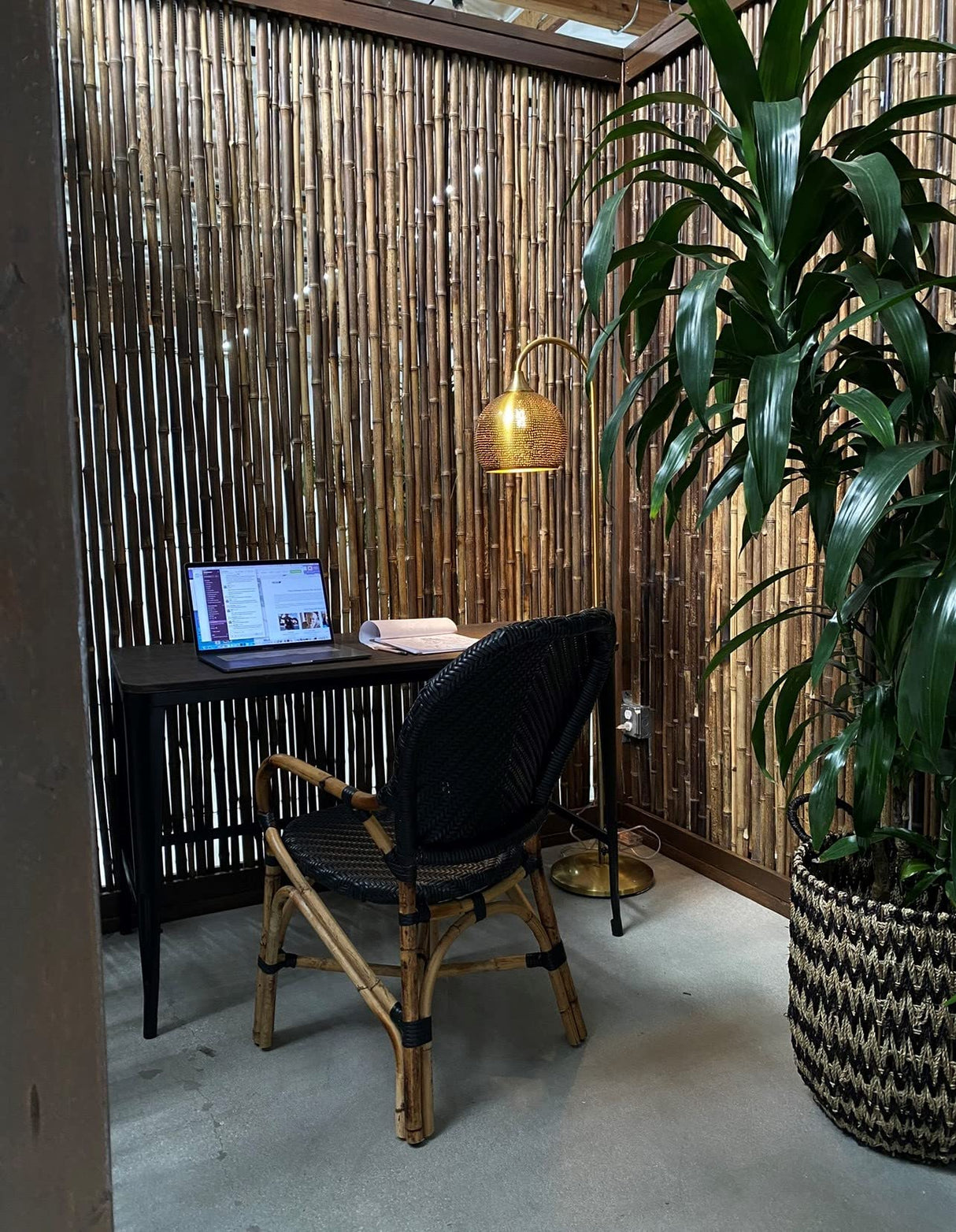 Backyard X-Scapes Natural Bamboo Fencing Garden Screen Rolled Fence Panel Black 1 in D x 3 ft H x 8 ft L Backyard X-Scapes