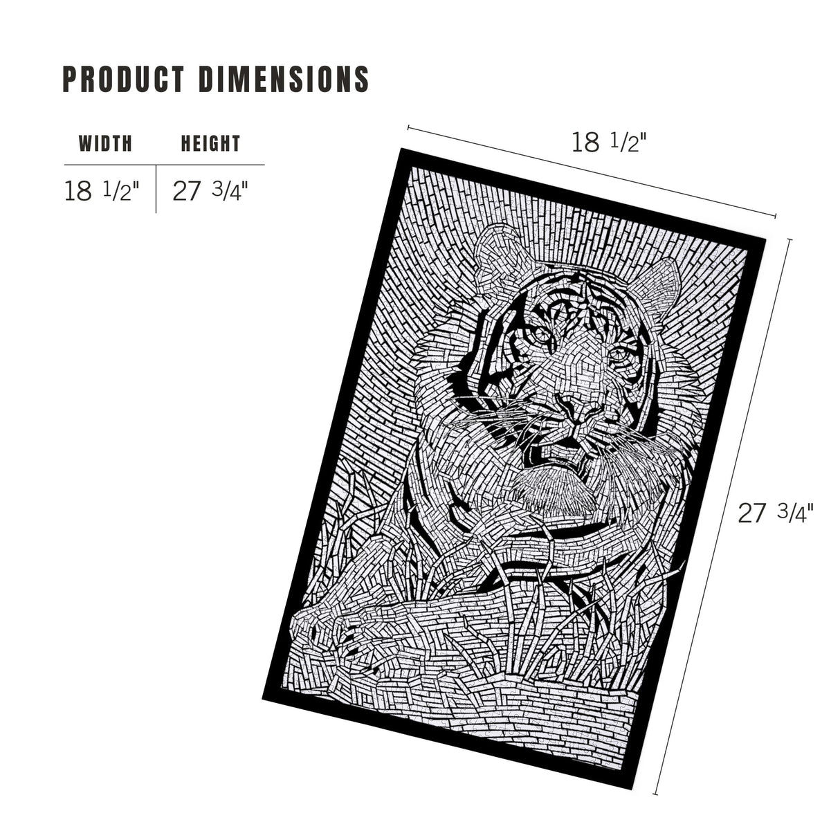 Lantern Press Tiger, Coloring Book 1000 Piece Jigsaw Puzzle for Adults, Made in USA with Reference Poster Lantern Press