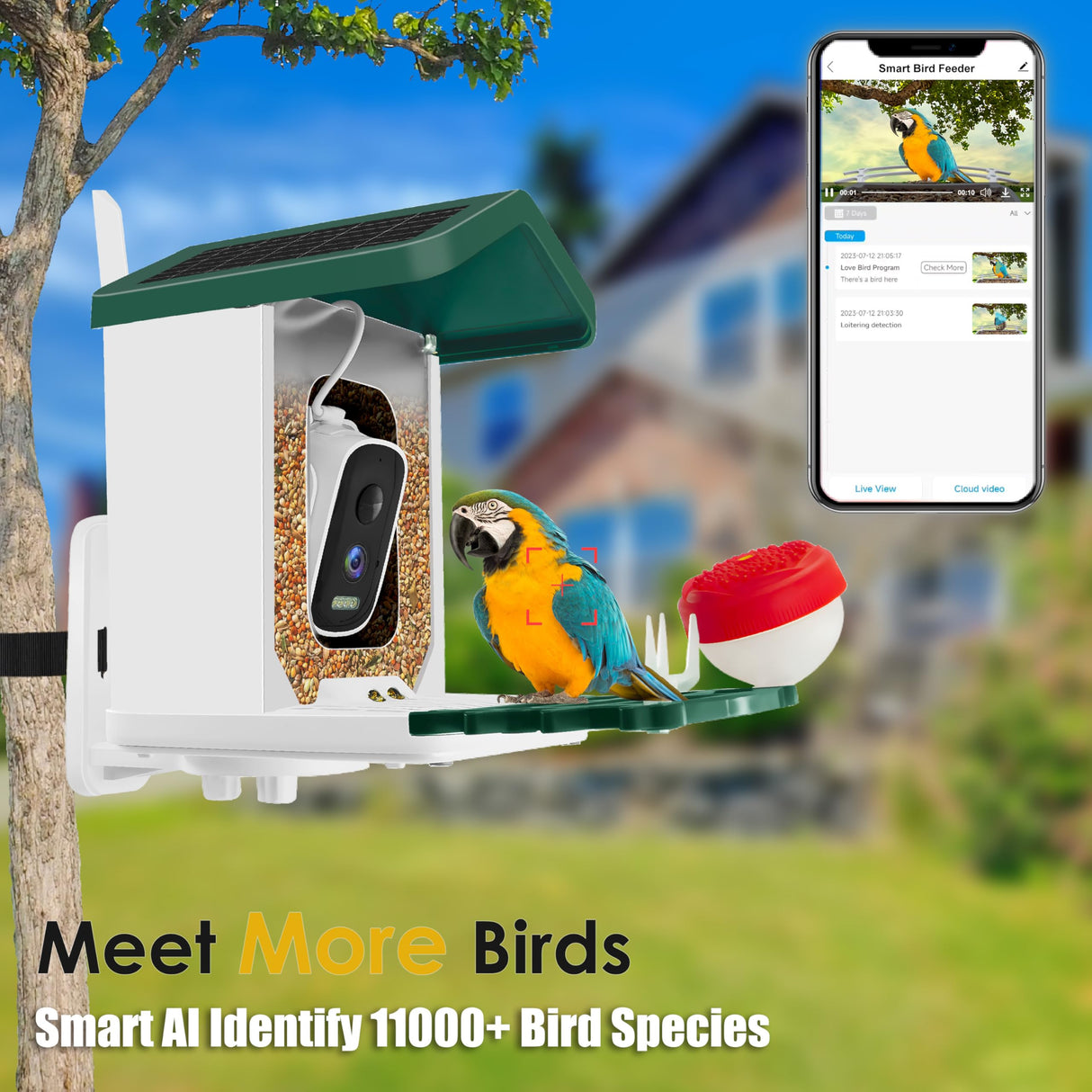 ImmSss Bird Feeder with Camera,Smart AI Identify Bird Species,Solar Hummingbird House Outdoor with 2.5K HD Cam,Live View,Instant Alerts,Capture Bird Video,Squirrel-Proof,Ideal Gift for Bird Lover ImmSss