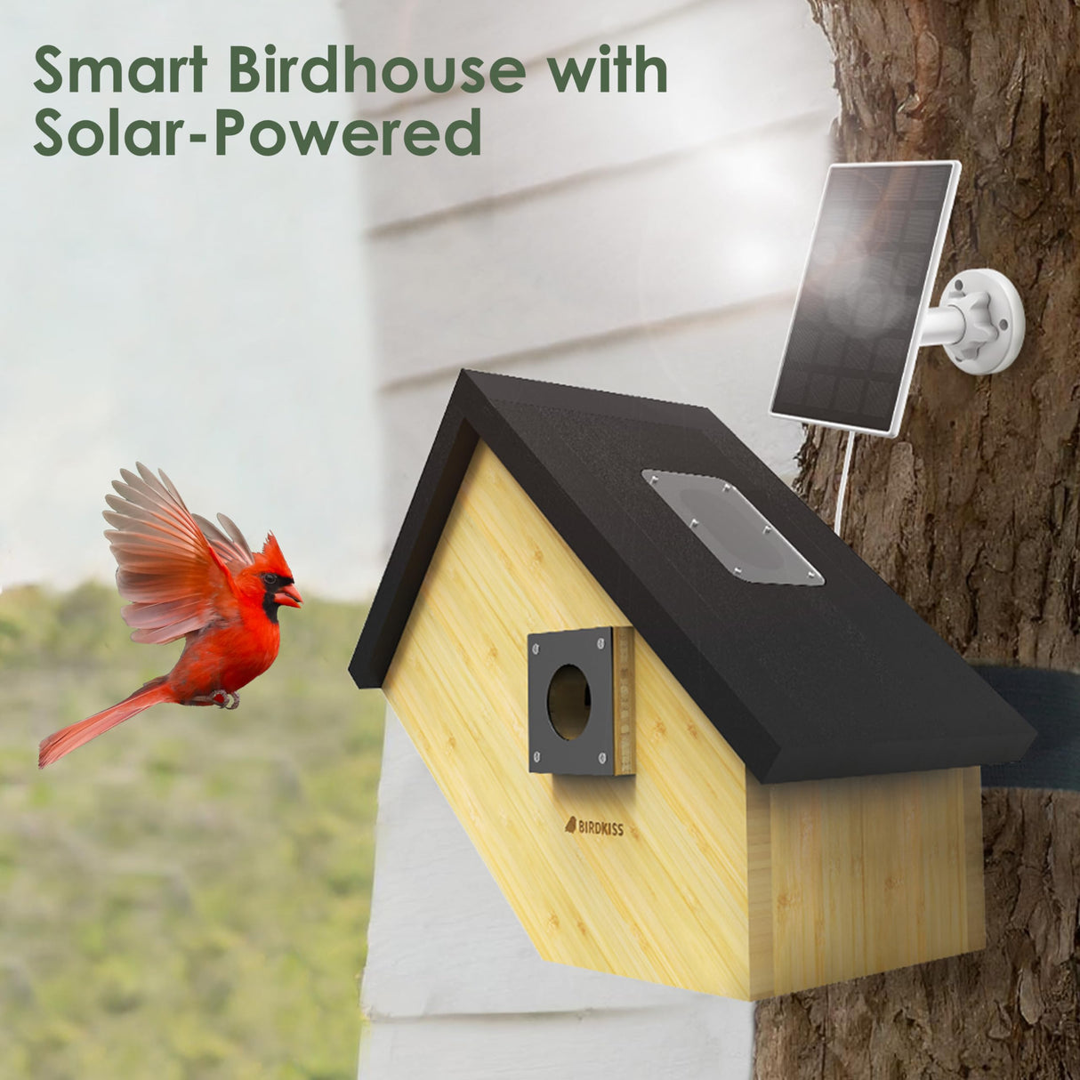 Birdkiss Smart Bird Houses for Outside Solar Powered, 1080P HD Live View Birdhouse with Camera, Perfect Viewing Bird Nesting and Hatching, Ideal Outdoors Bird House for Blue Bird and Cardinal (Black) Birdkiss