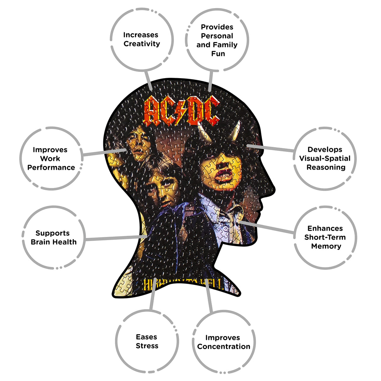 AQUARIUS AC/DC Highway to Hell Record Disc Puzzle (450 Piece Jigsaw Puzzle) - Officially Licensed AC/DC Merchandise & Collectibles - Glare Free - Precision Fit - 12 x 12 Inches AQUARIUS