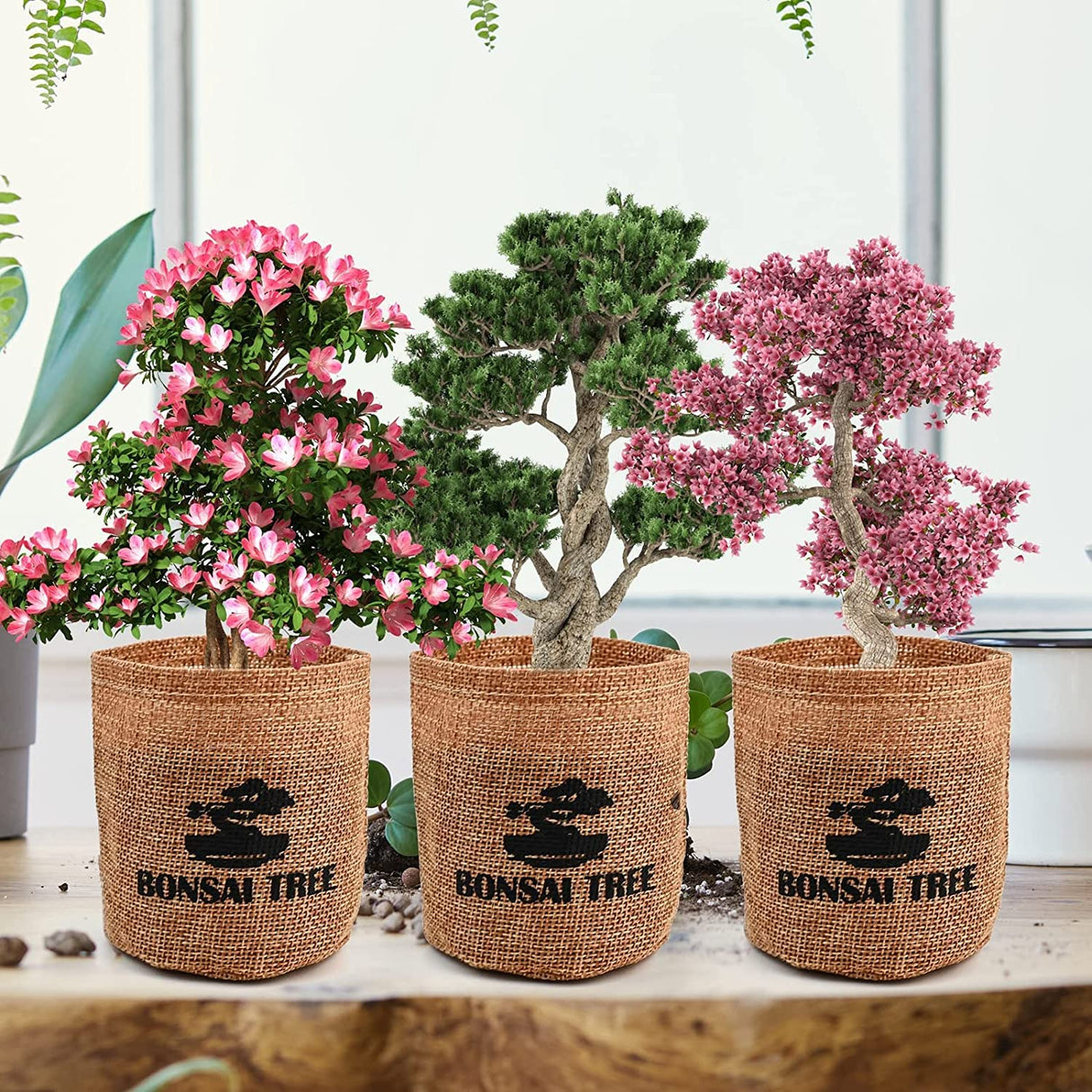 Meekear Indoor Starter Kit with Complete Planting Tools, Gardening DIY Gift for Plant Lovers Meekear