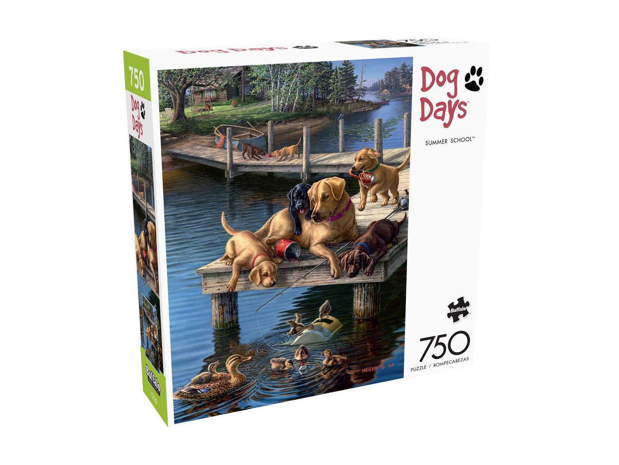 Buffalo Games - James A. Meger - Summer School - 750 Piece Jigsaw Puzzle for Adults -Challenging Puzzle Perfect for Game Nights - Finished Size is 24.00 x 18.00 Buffalo Games
