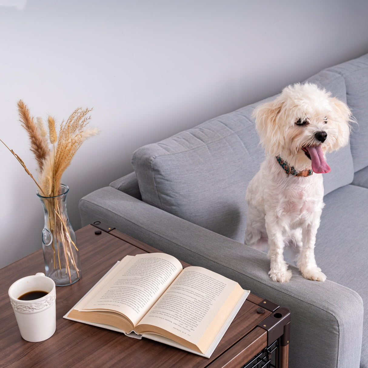 IRIS USA Furniture-Style Wooden Enclosed Pet Crate for Small Medium Dog, Dark Brown IRIS USA, Inc.