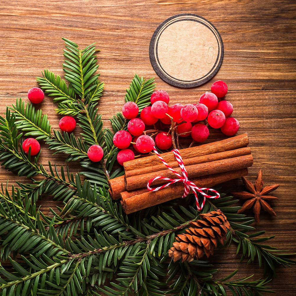 Tenn Well Red and White Twine, 656 Feet 200m Cotton Bakers Twine Ribbon for Baking, Butchers, Crafts, Gift Wrapping, Christmas Holiday Decorations Tenn Well