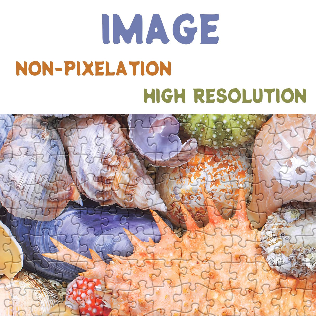 Colorful Seashell Puzzle for Adult 1000 Piece, Ocean Beach Puzzle 1000 Pieces for Adult, Marine Jigsaw Puzzles Hawaii 1000 Piece for Adult BBOLDIN