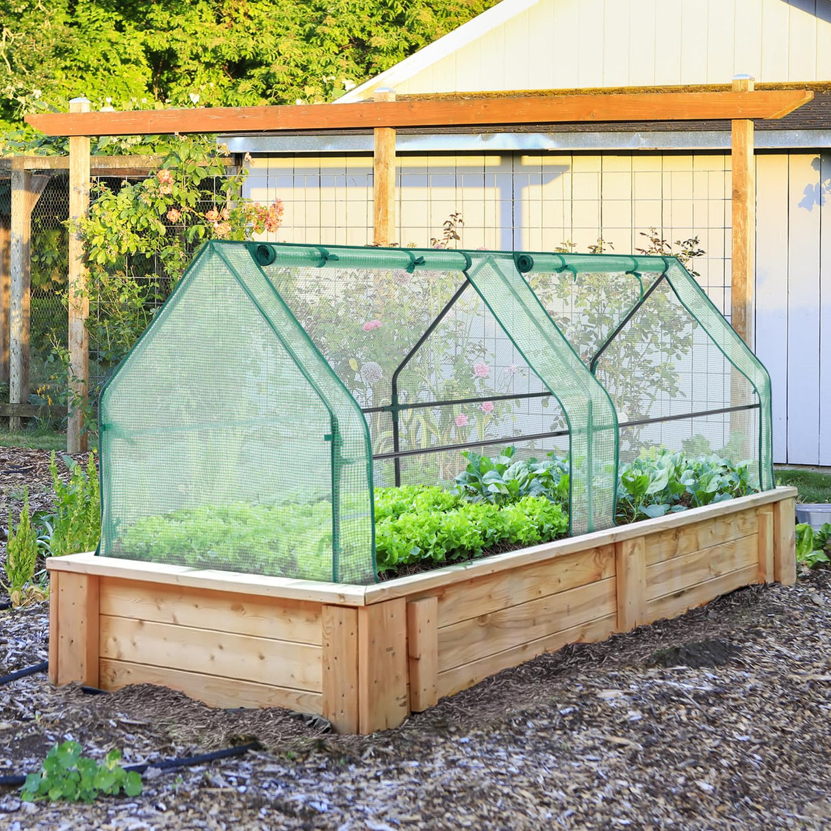 Ohuhu Portable Mini Greenhouse, 71"x36"x36" Greenhouses for Outdoors with Dual Large Zipper Doors & Ground Stakes, Waterproof & UV Protected Plastic Green House for Outside Garden Patio Backyard Ohuhu