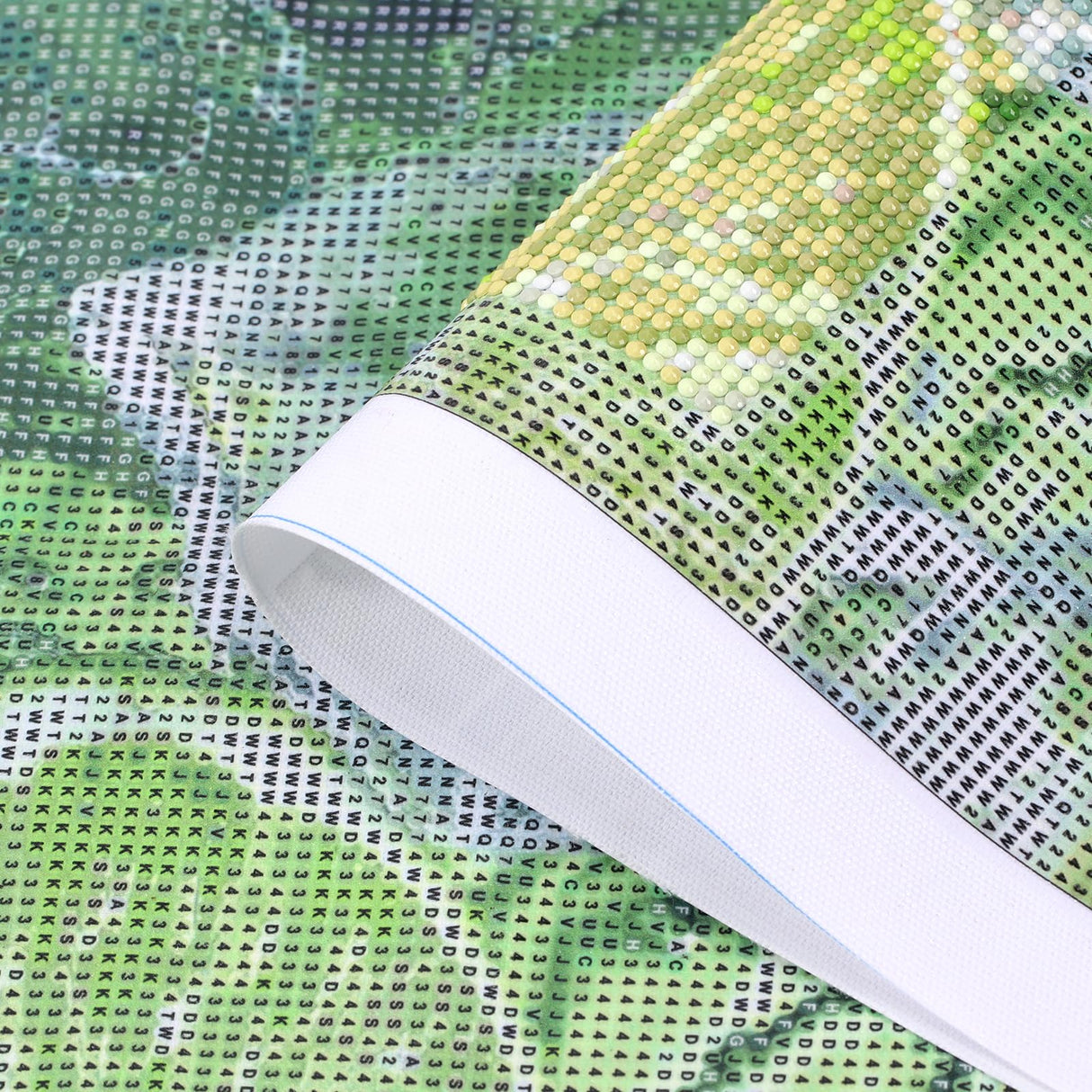 5D DIY Trout Fish Diamond Painting, Father's Day Diamond Art Painting Kit Wall Art Home Decor Bedroom Wall Decoration Handcraft Gift 12x16inch YL Mainland