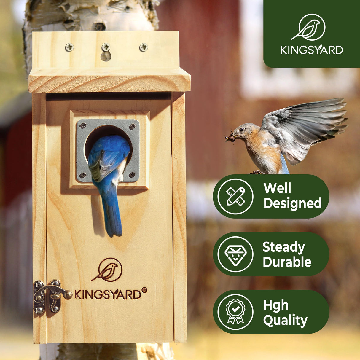 Kingsyard Blue Bird House for Outdoors - Classic Wooden Bluebird House with Predator Guard for Bluebirds Titmice Chickadees Nesting Birds, Wood Kingsyard