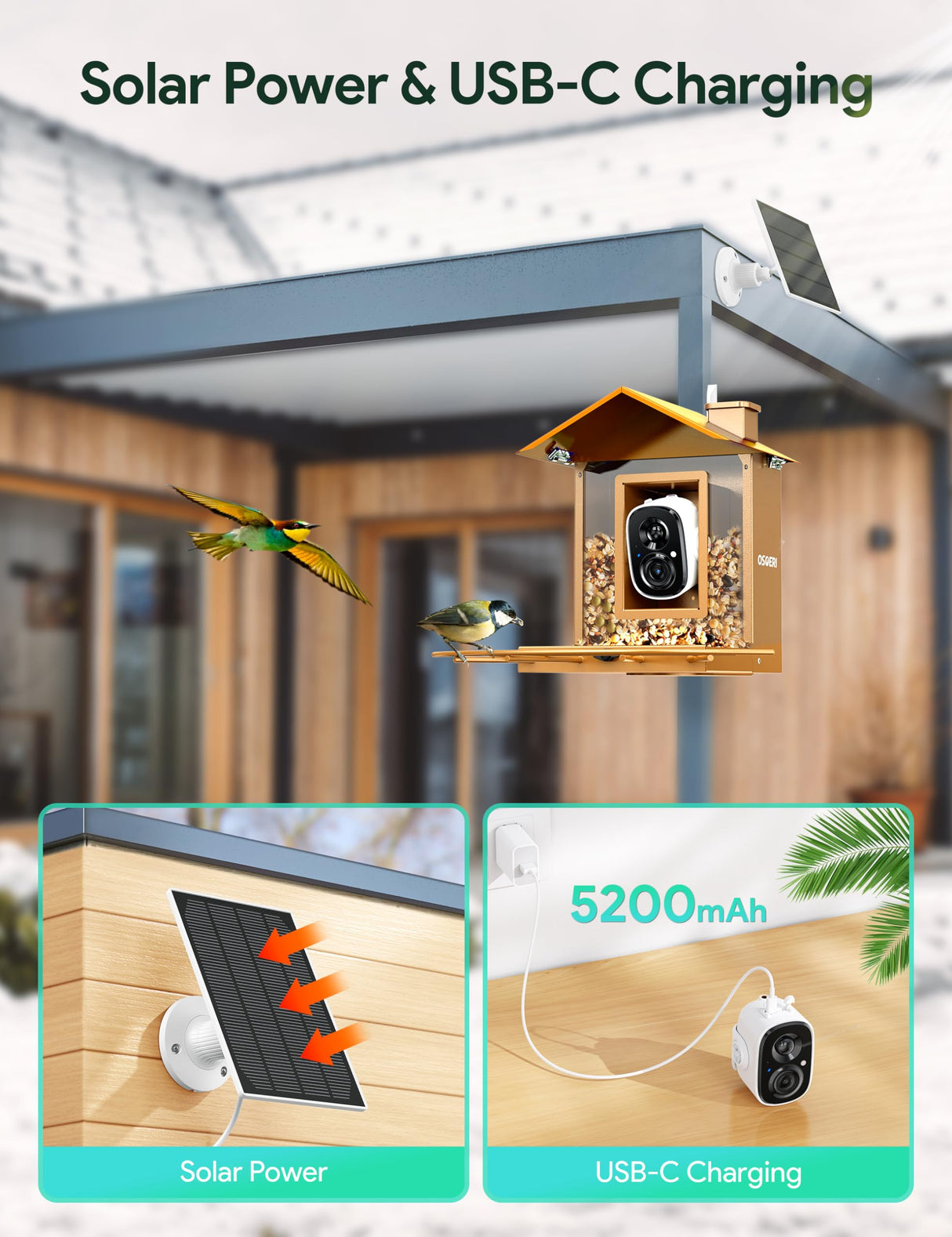 Osoeri Bird Feeder with Camera, Smart Bird Feeder Camera with 1080P HD AI Identify, Metal Bird Feeder Auto Capture Bird Videos & Motion Detection, Ideal Gift for Bird Lovers Osoeri