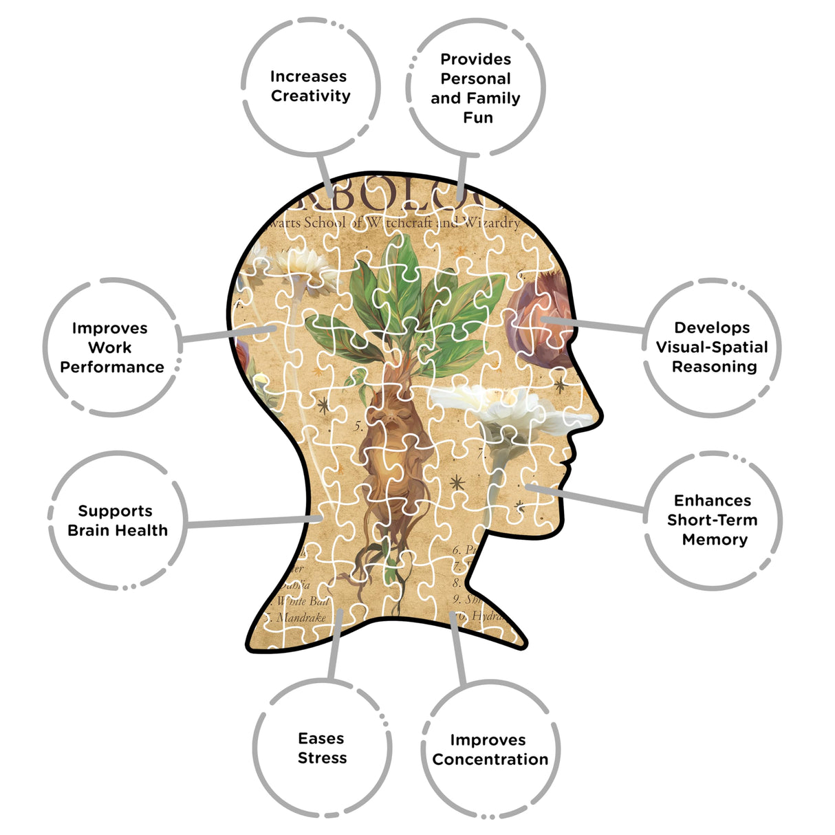 AQUARIUS Harry Potter Herbology 1000pc Puzzle (1000 Piece Jigsaw Puzzle) - Glare Free - Precision Fit - Officially Licensed Harry Potter Merchandise & Collectibles - 20x28 Inches AQUARIUS