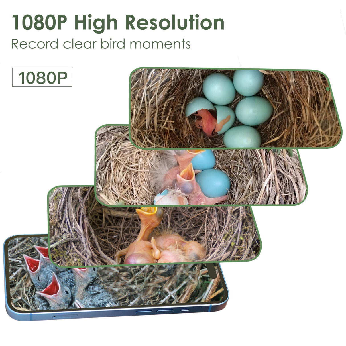 Birdkiss Smart Bird Houses for Outside Solar Powered, 1080P HD Live View Birdhouse with Camera, Perfect Viewing Bird Nesting and Hatching, Ideal Outdoors Bird House for Blue Bird and Cardinal (Black) Birdkiss