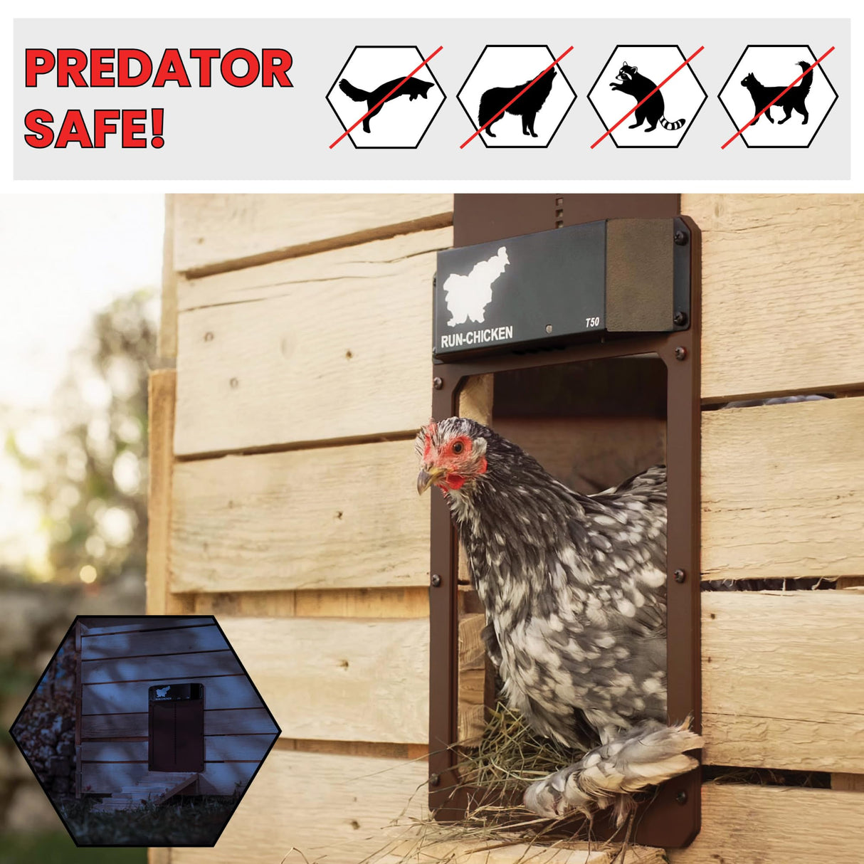 RUN-CHICKEN Door (Brown) Automatic Chicken Coop Door, Programmable with App, Battery Operated, Evening and Morning Delay, Aluminum Door, Electric Chicken Run Door, Model T50 RUN-CHICKEN
