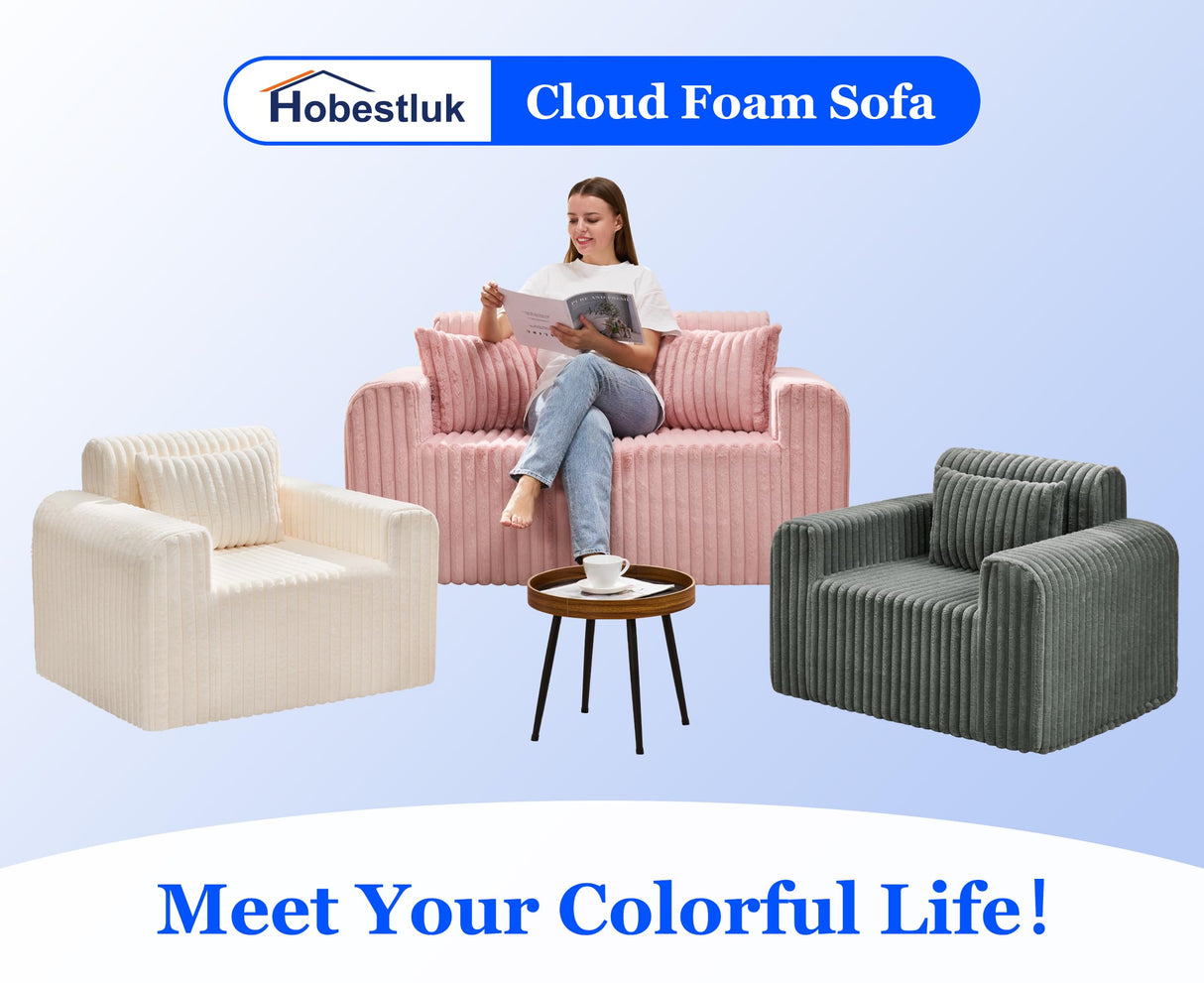 Hobestluk Couch Sofa 2-Seater Foam Sofa Loveseat for Small Spaces Comfy Sofas with Removable Cover Furry Couch with Pillows for Living Room, Bedroom, Apartment, Office (Pink, Loveseat) Hobestluk