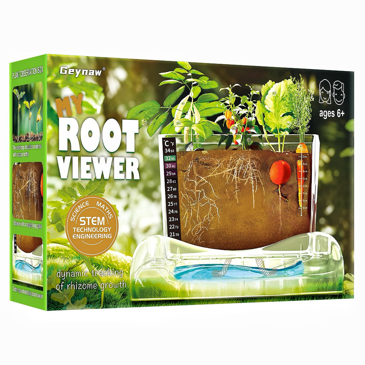 Root Viewer Kit for Kids - Grow Your Own Kids Garden for Boys & Girls - Science STEM Toy & Craft Growing Kits for Ages 6 7 8 9 10 Birthday Easter Gifts for Boy & Girls - Kid Gardening Set Geynaw