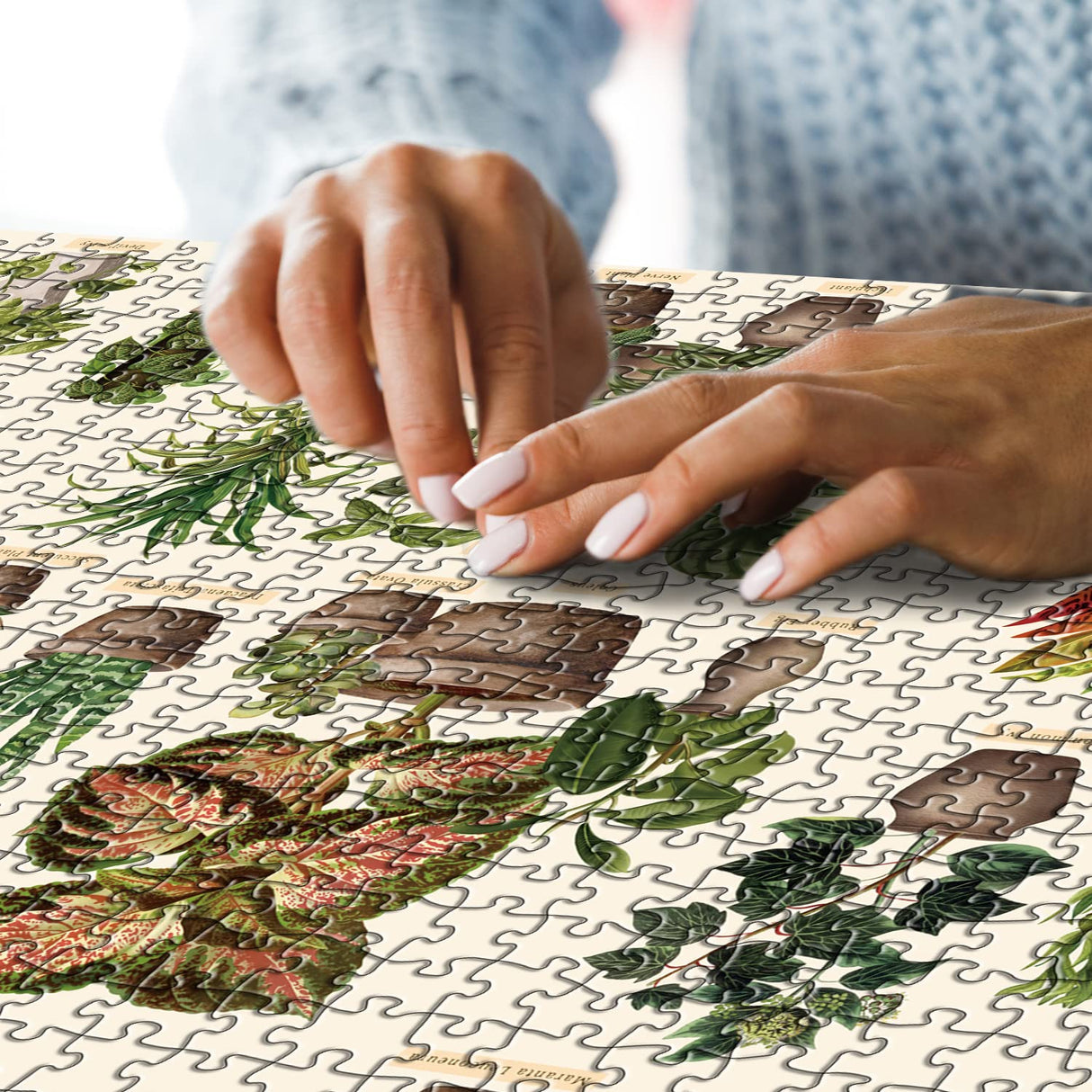 Vintage Houseplant Puzzle 1000 Pieces for Adult, Botany Succulent House Plant Puzzle, 39 Common Indoor Plants Jigsaw Puzzles BBOLDIN