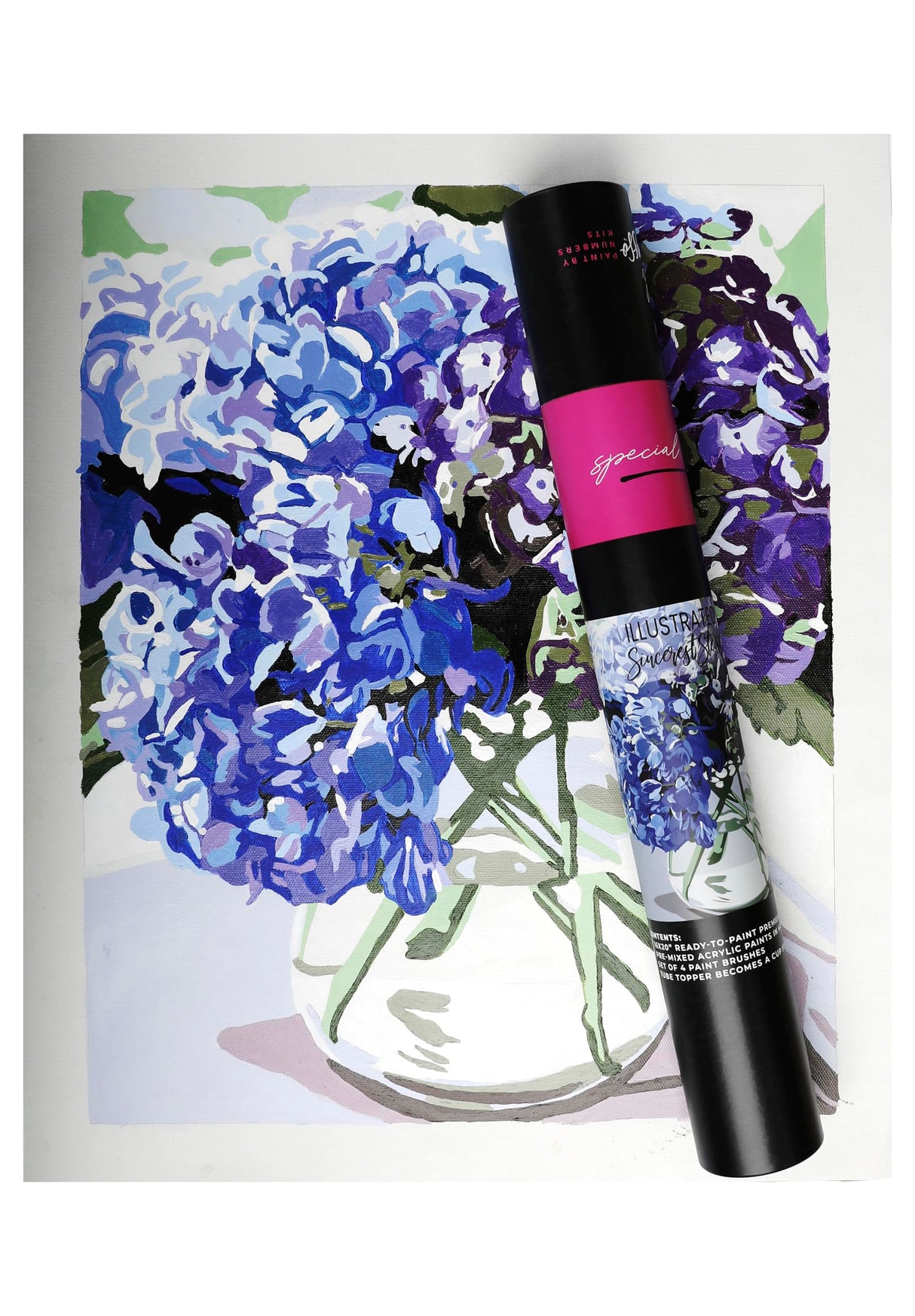 Pink Picasso Special Edition Illustrated Kit – Sincerest Stems | Beginner Paint by Numbers Kit | Botanical Art Painting Set | Easy DIY Floral Canvas for Adults Pink Picasso