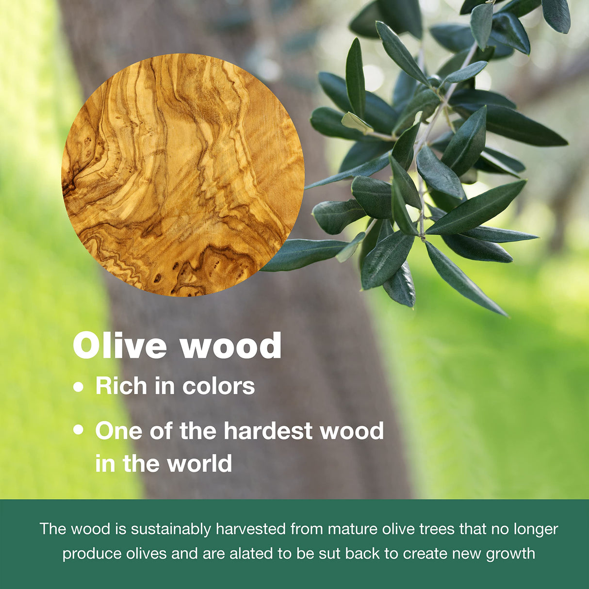 WONDERFUL 100% Natural Olive Wood Long Handle Spoons for Coffee, Tea, Milkshake Kitchen Stirring, Cocktail Stirrer; Mixing Honey Spoon, Chef Tasting Spoons(1 pc) WONDERFUL