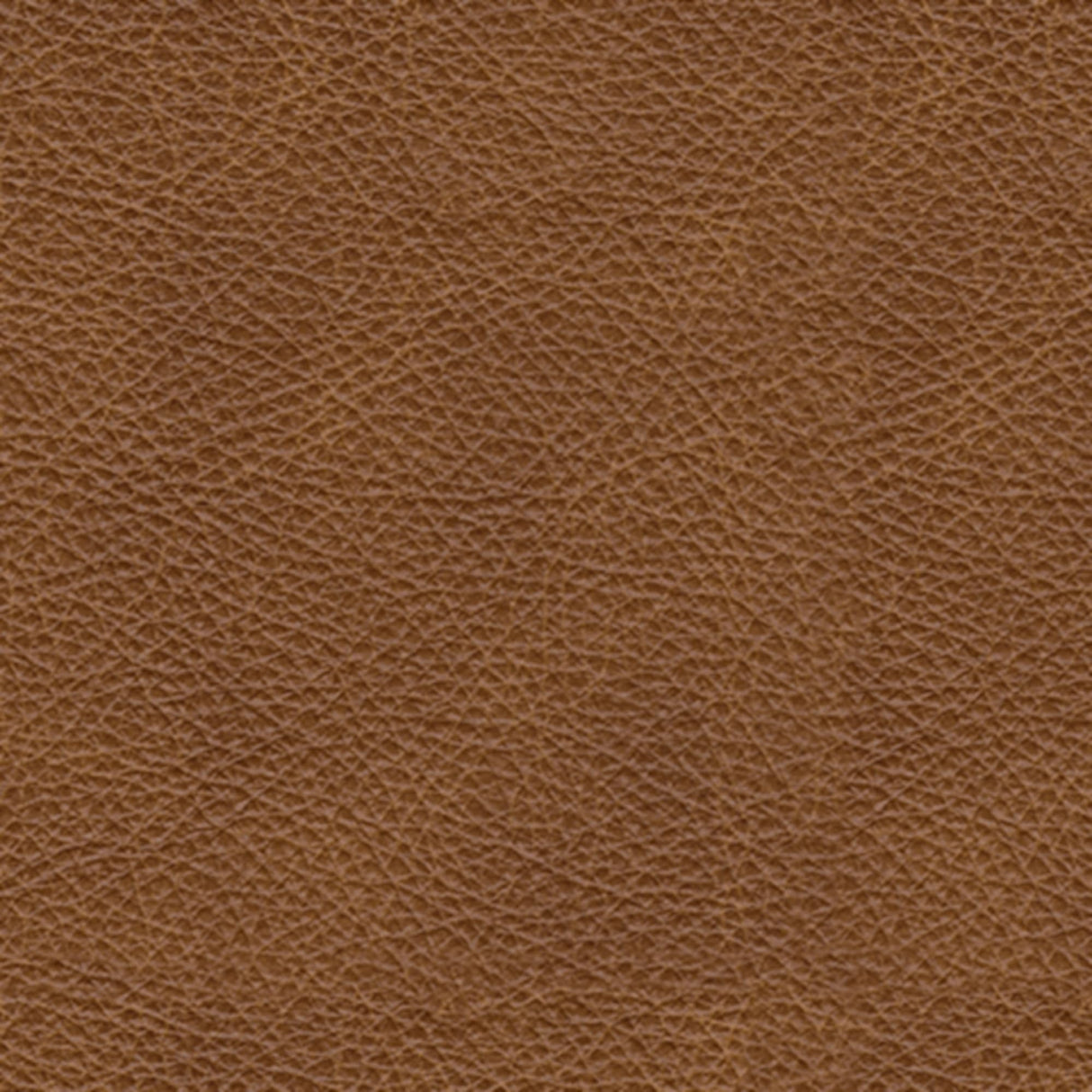 Signature Design by Ashley Carianna Classic Leather Match Loveseat with Nailhead Trim, Dark Brown Signature Design by Ashley